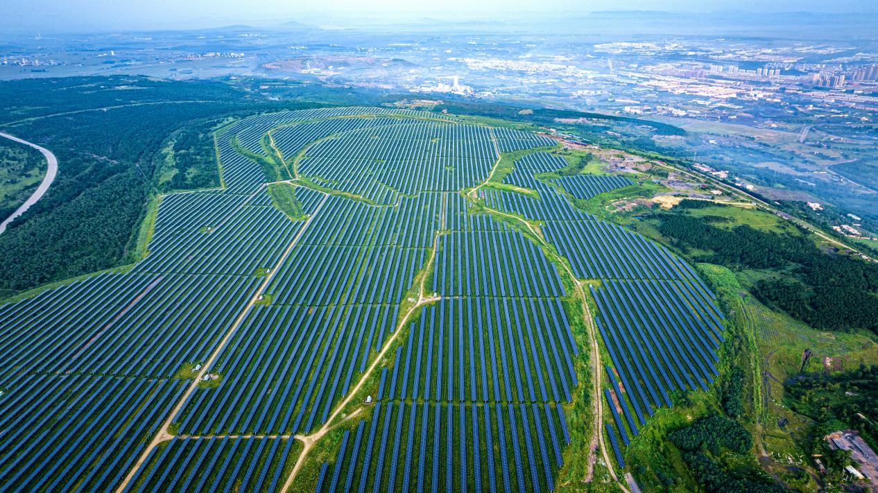 阜新華能午陽光伏電站。吳大偉 攝