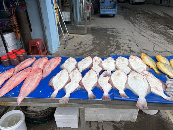 （待審核）面朝大海，丹東經(jīng)濟破浪前行_fororder_遼寧行-張桐1