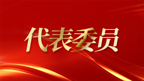 住遼全國(guó)政協(xié)委員討論政府工作報(bào)告